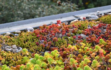 the cost of Ballymoney green roof installation