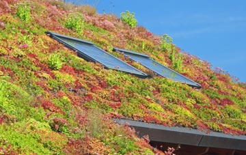 Ballymoney living roof systems