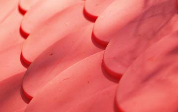 Ballymoney plastic roof costs