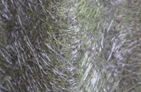 Ballymoney fibreglass roof work